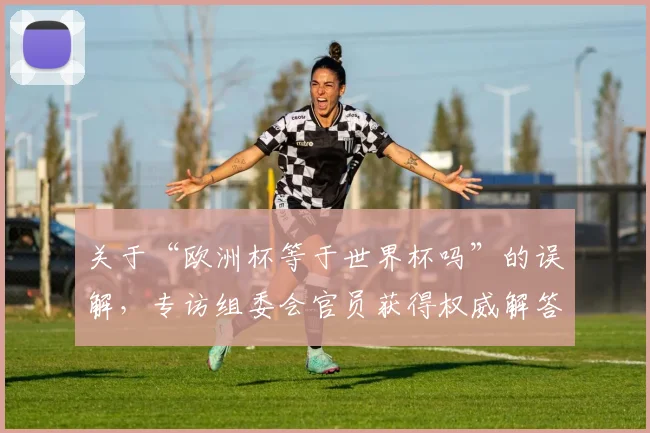 关于“欧洲杯等于世界杯吗”的误解，专访组委会官员获得权威解答