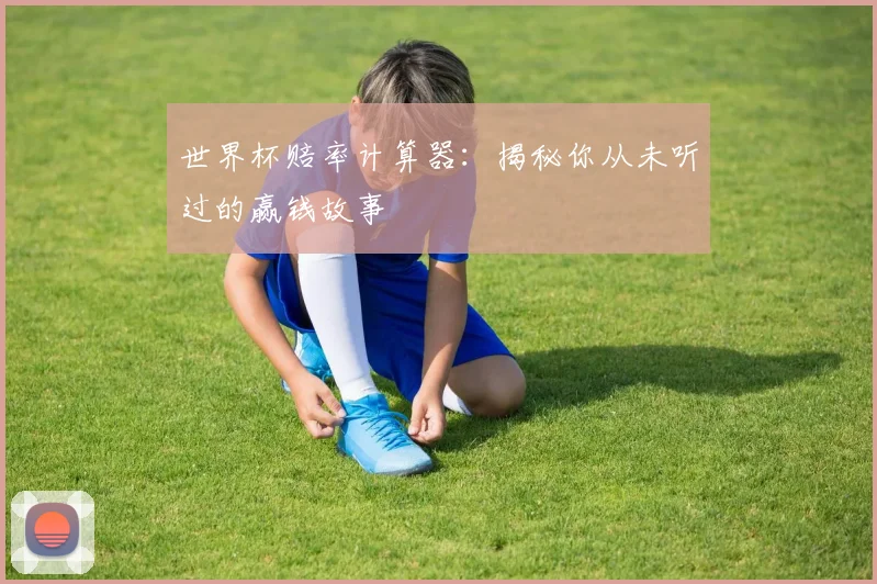 世界杯赔率计算器：揭秘你从未听过的赢钱故事