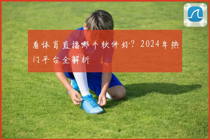 看体育直播哪个软件好？2024年热门平台全解析