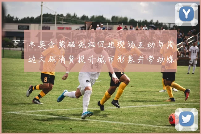冬奥会熊猫亮相促进现场互动与周边文旅消费提升城市形象并带动媒体关注