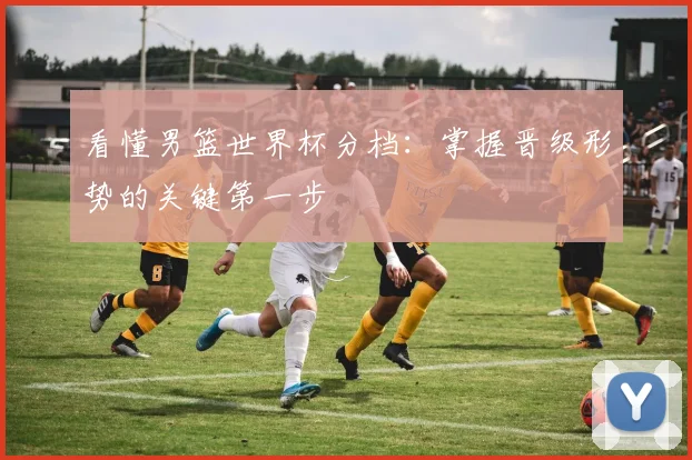 看懂男篮世界杯分档：掌握晋级形势的关键第一步
