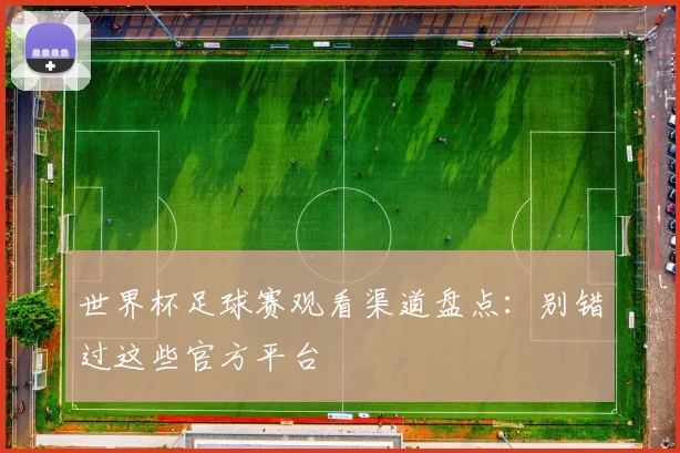 世界杯足球赛观看渠道盘点：别错过这些官方平台