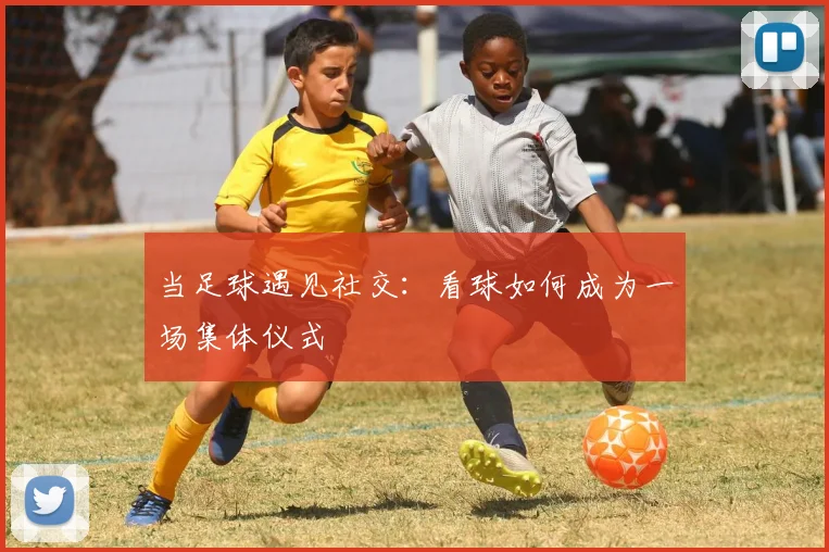 当足球遇见社交：看球如何成为一场集体仪式