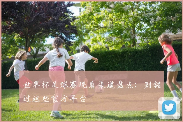 世界杯足球赛观看渠道盘点：别错过这些官方平台