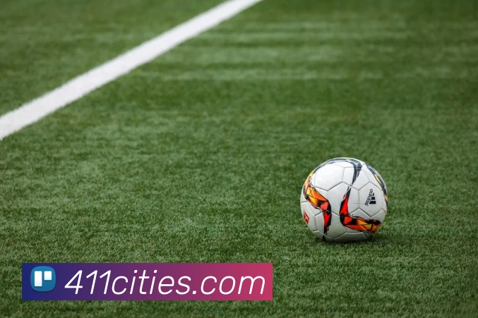 milan米兰官网入口APP 封面图